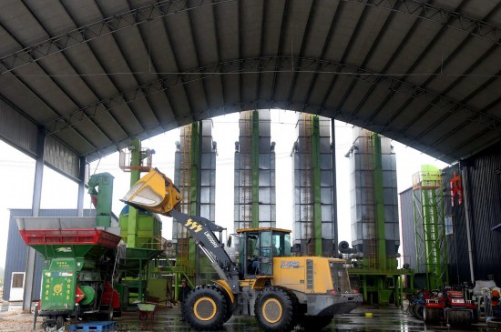 10月10日,在滨州市滨城区杨柳雪镇一处粮食烘干服务点,工作人员驾驶机械将玉米送入粮食烘干设备进行烘干。(通讯员 初宝瑞 报道)