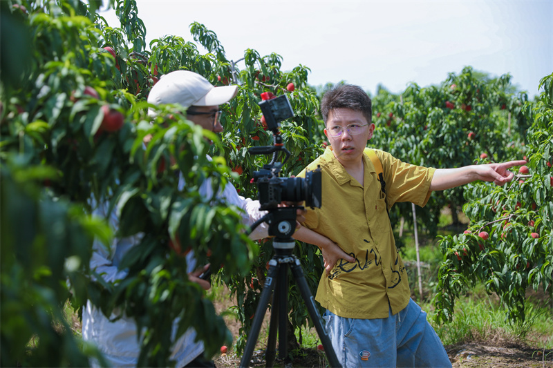 武烟融媒体中心为汉楼村特色产业红冠桃拍摄宣传片。顾瑞轩摄