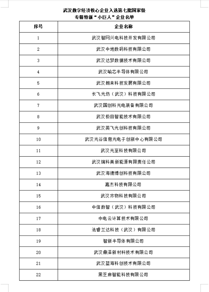 武汉数字经济核心企业入选第七批国家级专精特新“小巨人”企业名单
