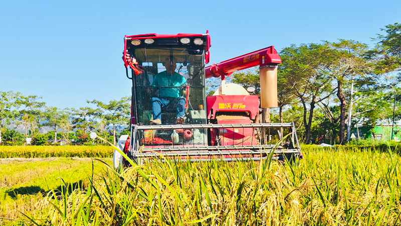 微信图片_20251114171345_28_14