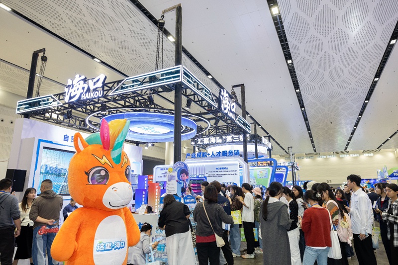 第二届中国（海南）人才交流大会海口专区。主办方供图