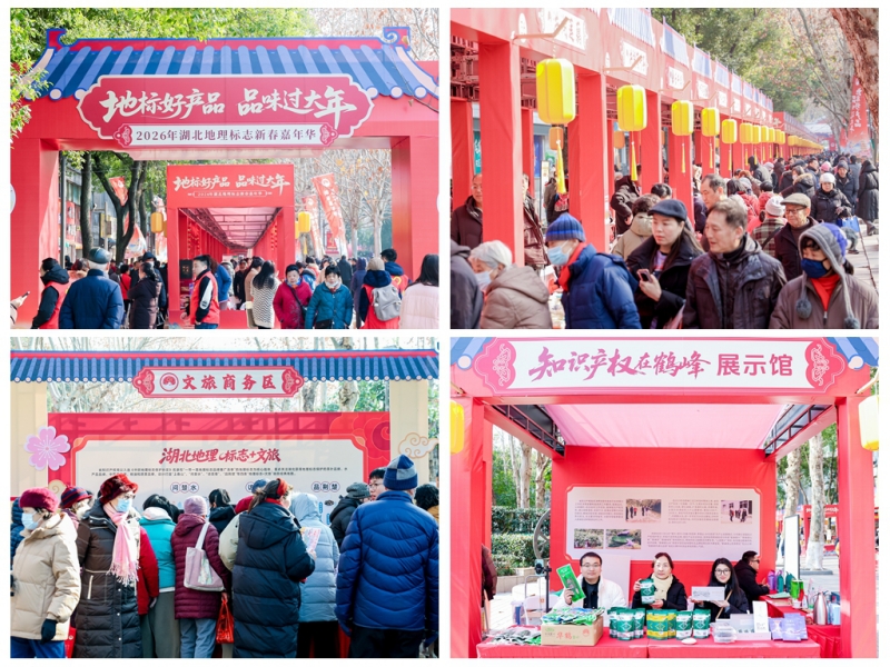 嘉年华活动现场。