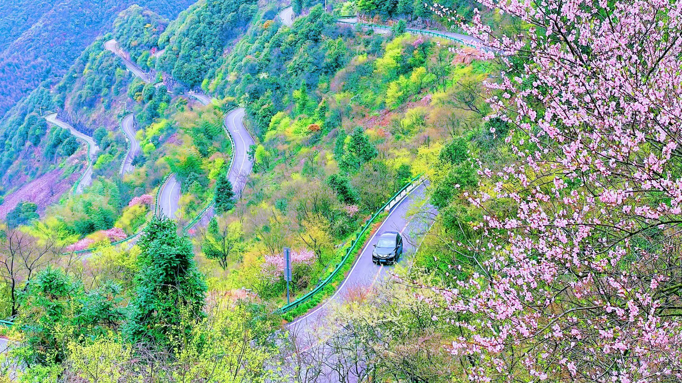 美丽公路春晚里的民生温度。