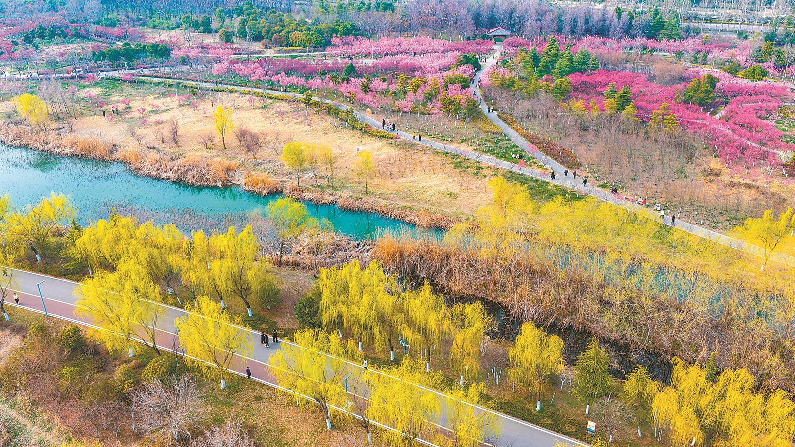 3月8日，淮北市烈山区，游客在南湖国家城市湿地公园赏景游玩。本报通讯员 张伟 摄