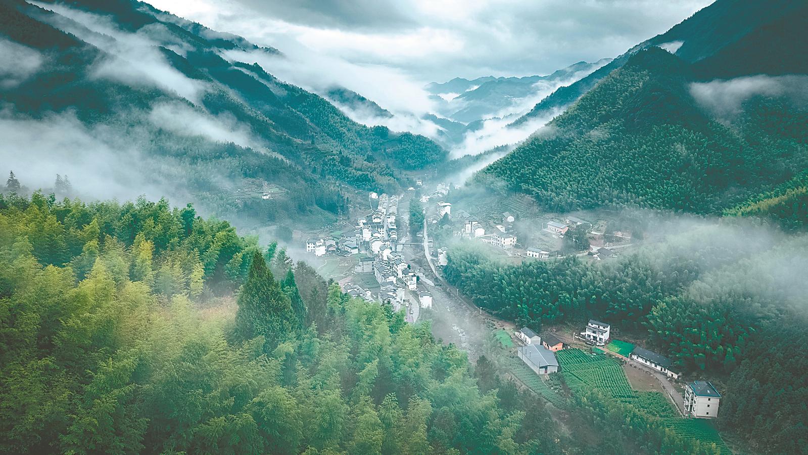 近日，歙县狮石乡山间晨雾缭绕，漫过竹海，将错落分布的民居绘成景。本报通讯员 柯纬威 摄