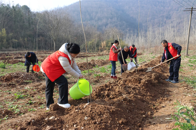 “红帽子”志愿者在村里植树种苗