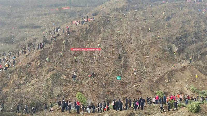 郧西县2026年春季集中义务植树活动现场。 徐光意摄