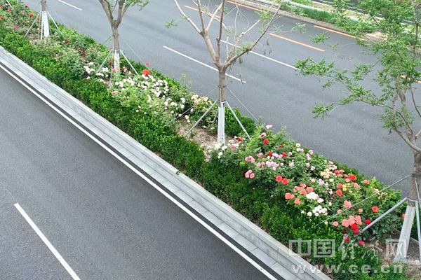 微信图片_20260515125220_副本.jpg
