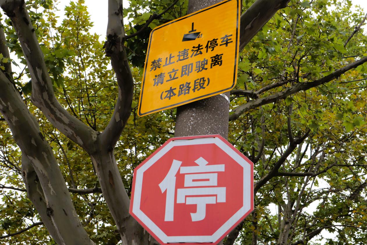 盘古路樟岭路公交站至盘古路克山路公交站路段禁停指示牌。杨雯摄