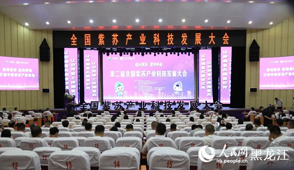 大会现场。人民网记者 韩婷澎摄