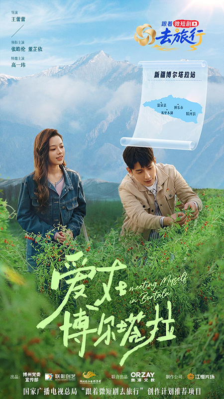 《爱在博尔塔拉》海报
